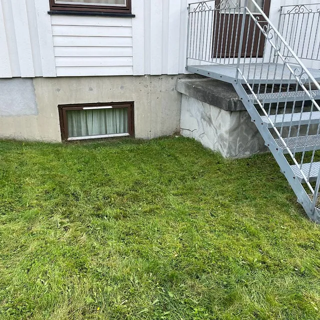 Grønt gressareal ved bygning med trapp, kjellervindu og inngangsparti.