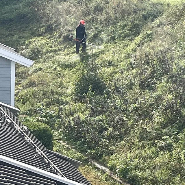 Person som arbeider med kantklipping i en bratt, gresskledd skråning bak et hus.